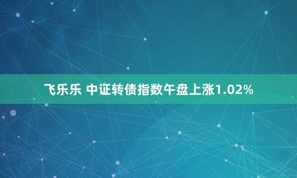 飞乐乐 中证转债指数午盘上涨1.02%