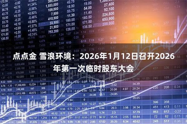 点点金 雪浪环境：2026年1月12日召开2026年第一次临时股东大会